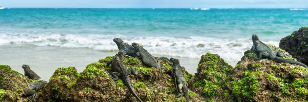 Ecuador und Galápagos Inseln - auf den Spuren von Alexander von Humboldt und Charles Darwin