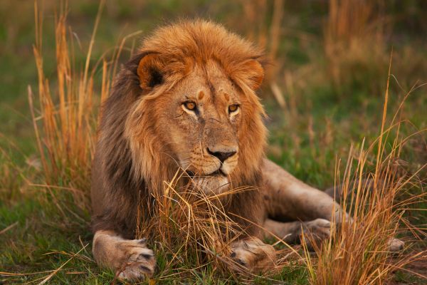Expedition Kenia