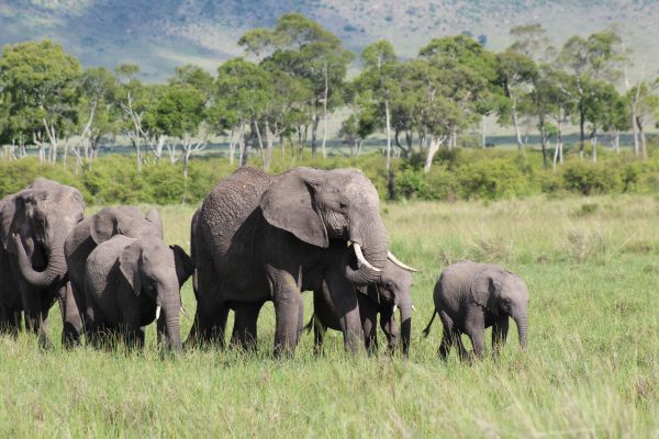 Expedition Kenia