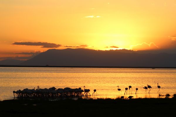 Expedition Kenia