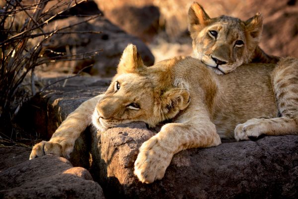 Expedition Kenia