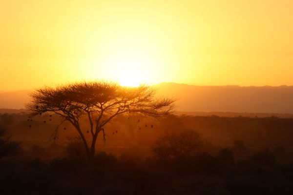 Expedition Kenia