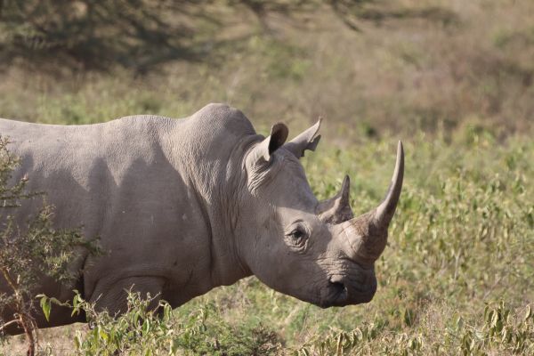 Expedition Kenia