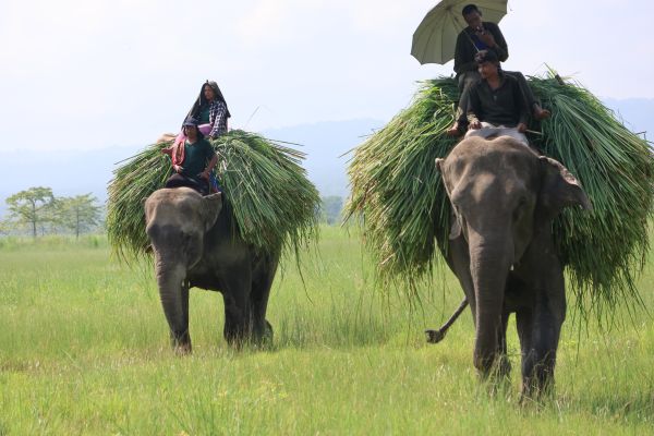 Expedition Nepal